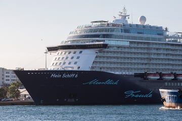 Insekteninvasion sorgt für Chaos auf Kreuzfahrtschiff