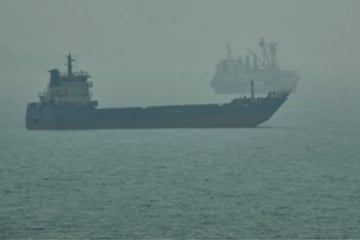 Nahost-Konflikt: Containerschiff in Straße von Hormus gesunken