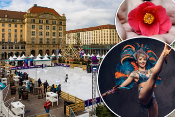 Dresden: Trödeln, schlendern, feiern: Unsere Highlights für einen gelungenen Sonntag