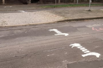 Dresden: Nächste Runde im Zebra-Streit: Aktivisten ärgern Stadt mit neuen "Kunstwerken"