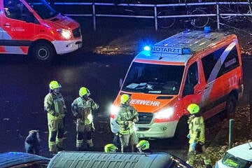 Audi kracht gegen Baum: Nächster tödlicher Unfall in Aroser Allee