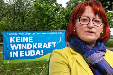 Politiker-Aufstand gegen Windradgesetze des Bundes