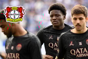 Hammer-Transfer: Bayer 04 krallt sich Champions-League-Sieger!
