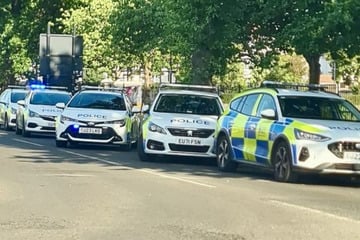 Tragödie im Park: Baum stürzt auf Kindergruppe - Mädchen (†7) tot, vier verletzt