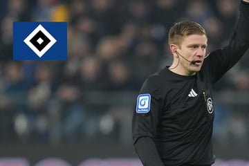 HSV-Blog: Dieser Schiri pfeift die Rothosen Gegen Hoffenheim
