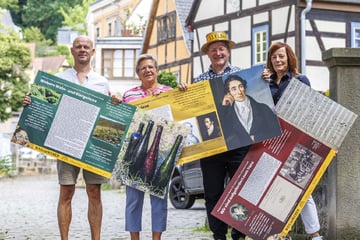 Dresden: 225 Künstler an 85 Orten: So schön wird das Elbhangfest