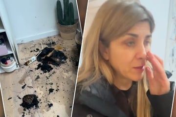 Schock bei Panagiota Petridou: Moderatorin riecht Rauch und entdeckt Brand im Kinderzimmer