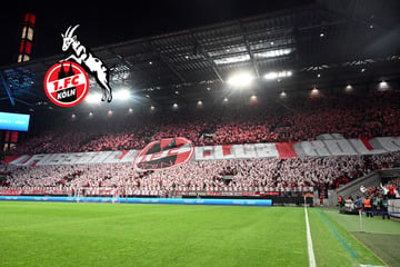 Urteil nach Nizza-Schande: 1. FC Köln prüft Gang vor den CAS wegen Fan-Ausschluss