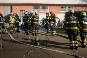 München: Feuerwehreinsatz in München: Mülltonne in Mehrfamilienhaus abgefackelt