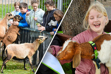 Einzigartiges Konzept: Sächsische Schule mit eigenem Zoo will Preis absahnen