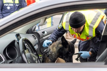 Rote Ampel, Drogen, Diebesgut: BMW-Fahrer legt Polizei ganze Liste an Straftaten vor