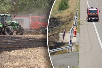 Dresden: Feldbrand an der A13: Feuer droht Autobahn zu erfassen