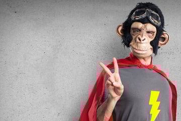 Mann im Affenkostüm schlägt Faschingsgast nieder