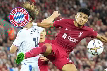 Wunschspieler Luis Díaz: Hat Liverpool-Star dem FC Bayern schon zugesagt?