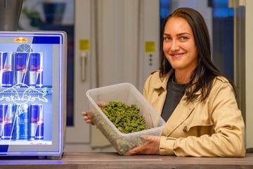 So viele Cannabis-Clubs wurden in Sachsen bislang zugelassen