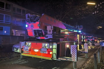 Hamburg: Feuerwehr rettet Katze bei Wohnungsbrand