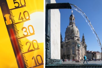 So will Dresden die Hitze aus der Stadt verbannen
