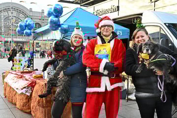 Dresden: Tierschutzverein veranstaltet rührende Aktion für bedürftige Hundebesitzer