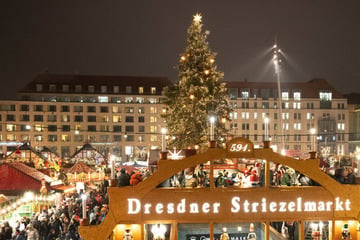 Striezelmarkt-Countdown läuft: Wann wird die Tanne aufgestellt?