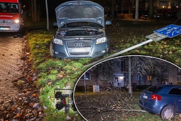 23-Jährige ohne Führerschein verwechselt Gas mit Bremse - und fällt mit ihrem Audi einen Baum