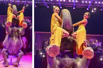 Dresden: Weihnachts-Circus startet Vorverkauf