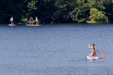 Köln: Von FKK-Strand bis Wassersport: Diese Badeseen bieten in NRW Abkühlung - auch für Hunde