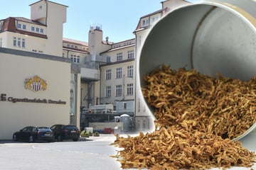 Philip Morris will Dresdner Zigarettenfabrik dichtmachen: So viele Mitarbeiter sind betroffen