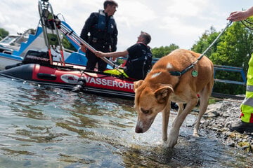 Einen Monat nach Unglück: Wie geht es mit der Vermissten-Suche in der Talsperre Pöhl weiter?