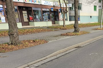 Heftiger Unfall im Leipziger Norden: 83-Jähriger von Auto erfasst und schwerst verletzt