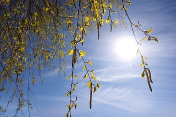 Erneut milde Werte am Wochenende, doch eine Sache trübt das Frühlings-Wetter