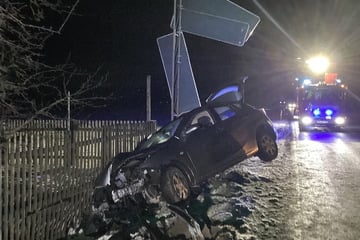 Betrunken hinterm Steuer: Autofahrer kracht gegen Verkehrsschild