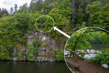 Absturz-Drama an Himmelfahrt: Wer ist der Helfer von der Zschopau?