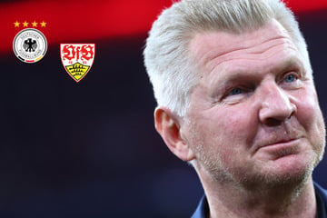 Effenberg fordert VfB-Star in die Nationalmannschaft