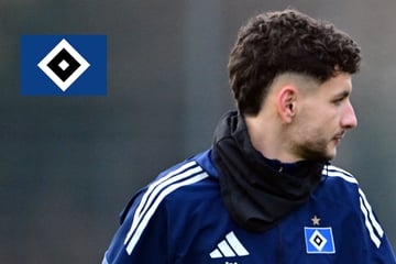 HSV-Blog: So steht es vor dem Stuttgart-Spiel um Daniel Elfadli