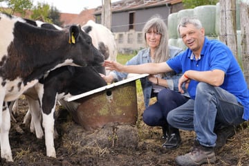 Bauer sucht Frau: "Was ich nicht erzählt habe ...": Hofdame von RTL-Bauer lässt Ehe-Bombe platzen