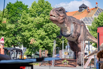 Dresden: Dem T-Rex direkt in die Augen sehen: Urzeit-Riesen erobern Dresdner Messe