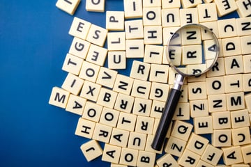 "Forzkapsl", "Babuschn", "Sprengstitz": Vogtländisches Wort des Jahres 2026 gesucht