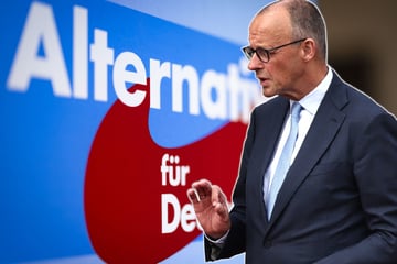Umfrage-Hammer in NRW: AfD erstmals stärkste Kraft, CDU mit Kanzler Merz im Tiefflug