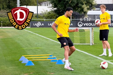 Dynamo-Dresden-Blog: Gute Nachrichten bei der SGD! Schmidt zum ersten Mal beim öffentlichen Training