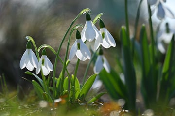 Endlich! Wetter in Thüringen wird frühlingshaft schön