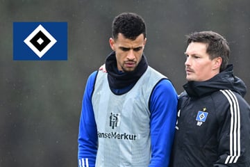 HSV-Coach Polzin äußert sich zur Causa Glatzel: "Hat sich bewusst dazu entschieden"