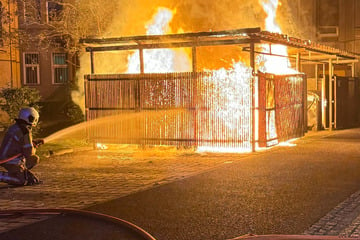 Dresden: Feuerwehreinsatz in der Neustadt: Fünf Mülltonnen in Vollbrand!