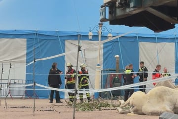 Hamburg: Aktivisten erheben nach Eskalation in luftiger Höhe schwere Vorwürfe, Zirkus wehrt sich