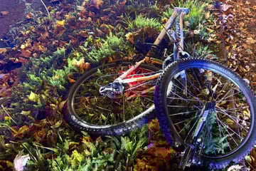 Bei Rot über die Ampel? 12-jähriger Fahrradfahrer wird von Auto erfasst und stirbt