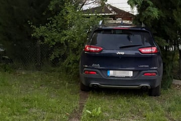 Suff-Unfall im Harz: Jeep kracht durch Gartenzaun und landet in Hecke