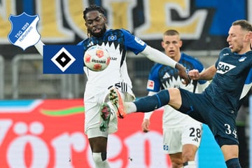 Kellerduell gegen die TSG zu Topspiel-Preisen: Belohnt der HSV Tausende mitgereiste Fans?