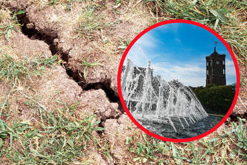 Grundwasser wird knapp: Sitzen Berlin und Brandenburg bald auf dem Trockenen?