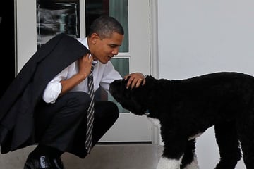 Barack Obama trauert um Familienhund Bo: "Ein wahrer Freund"