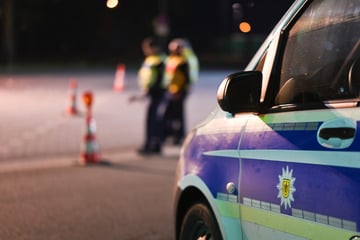 Vater will Kinder ins Ausland entführen, doch die Bundespolizei ist schneller