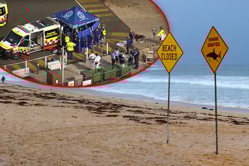 Vier Haiangriffe in zwei Tagen: Junge stirbt nach blutigem Zwischenfall